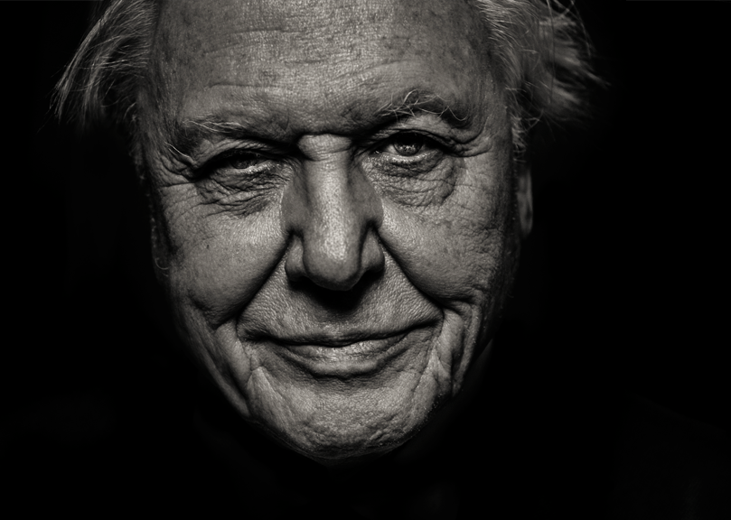 Stein International Investment Management